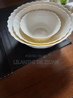 Arcopal Dinner Set