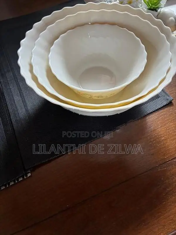 Arcopal Dinner Set