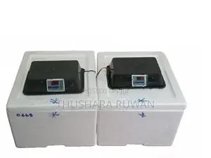Eggs Incubator Machine