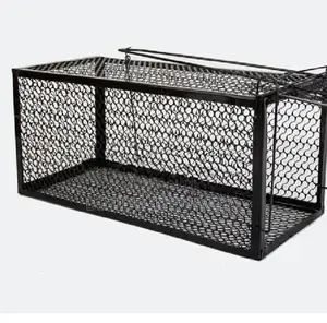 Rat Cages