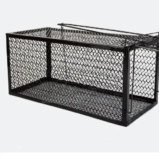 Rat Cages