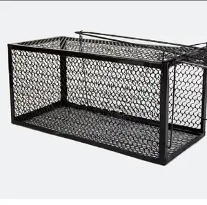 Rat Cages