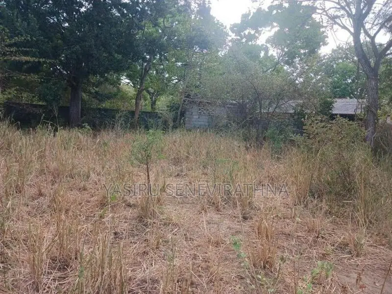 Land For Sale In Kataragama
