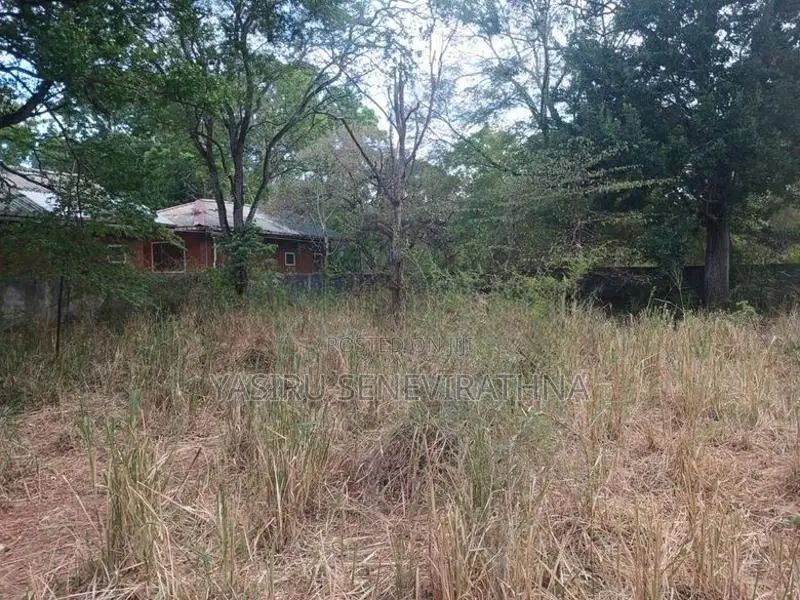 Land For Sale In Kataragama
