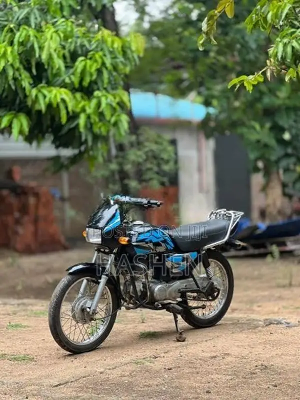 Hero Splendor 2005