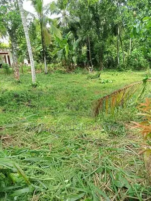 70 perches Land for immediate sale at Pallevela