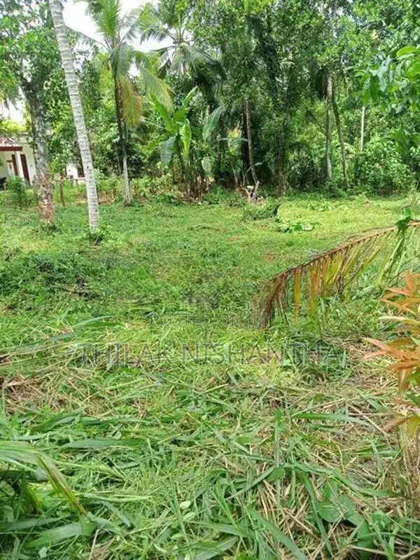 70 perches Land for immediate sale at Pallevela