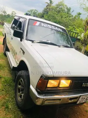 Nissan Datsun 1980 Pickup (Used)