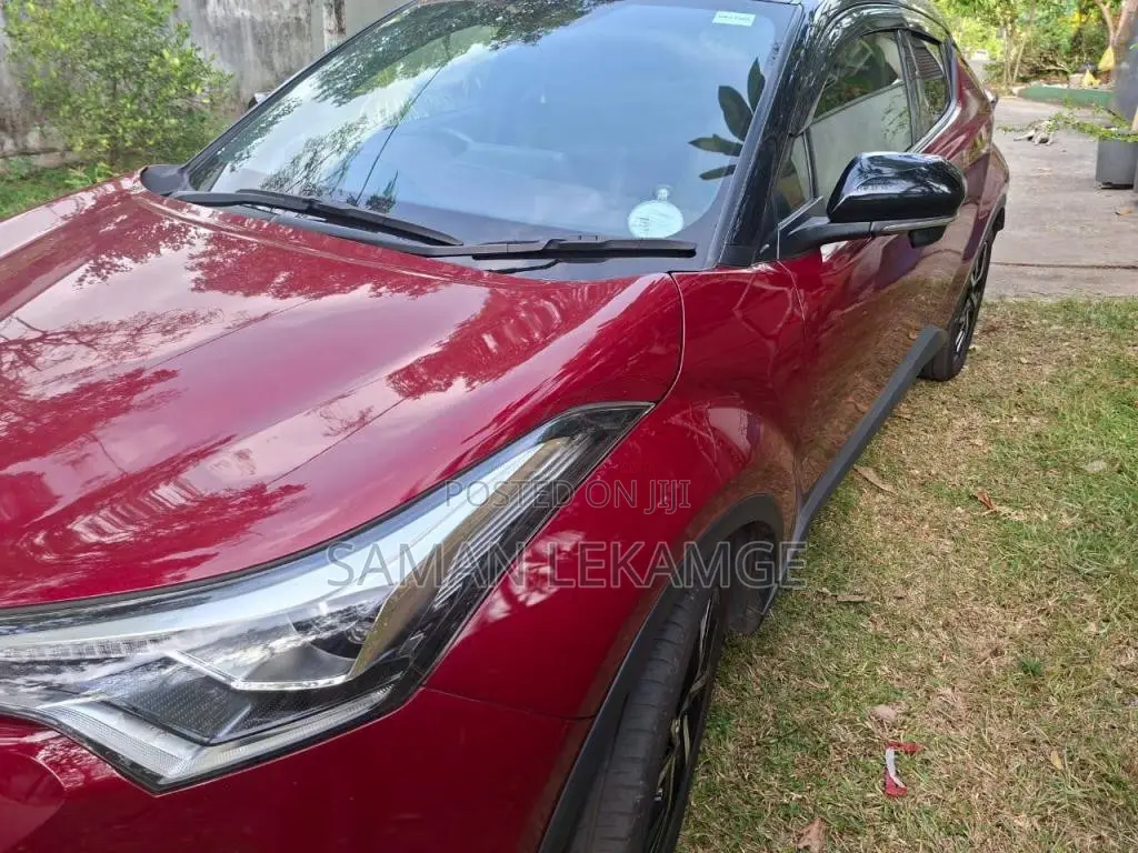 Toyota CHR NGX 10 2019 SUV (Used)