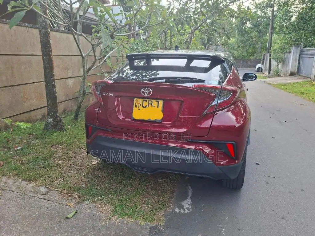 Toyota CHR NGX 10 2019 SUV (Used)