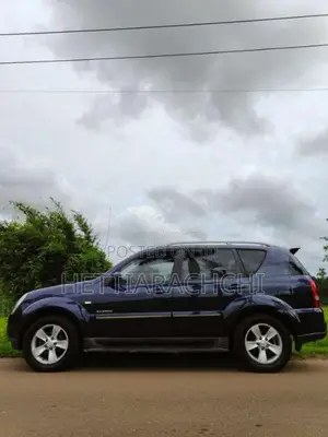 Micro Rexton 2004 SUV (Used)