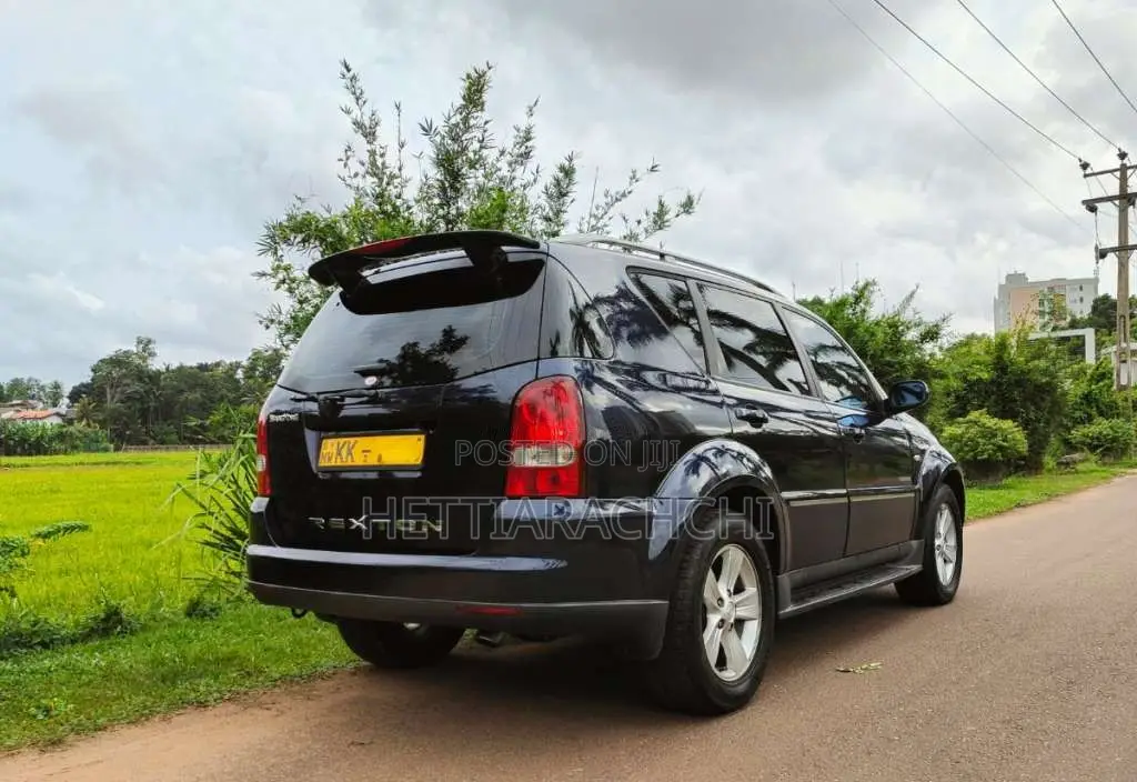 Micro Rexton 2004 SUV (Used)