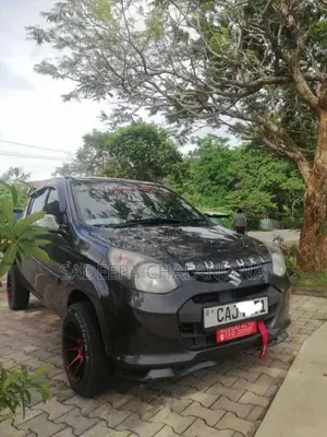 Suzuki Alto 2015 Car (Used)