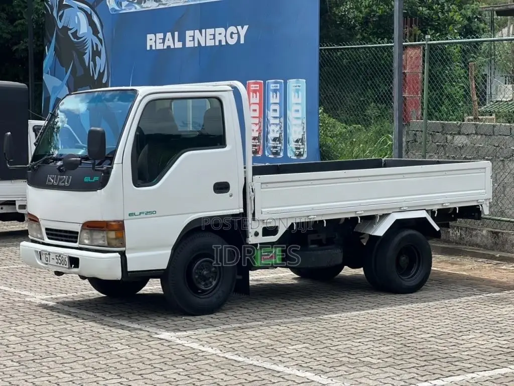 Isuzu ELF 2002 Lorry (Used)