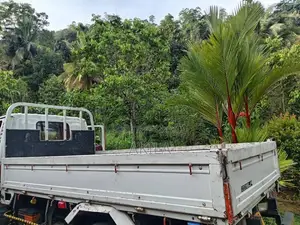 Isuzu 250 2026 Lorry (Used)