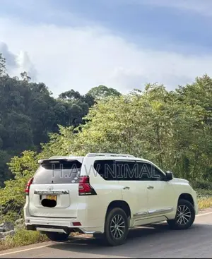 Toyota Land Cruiser 2015 SUV (Used)