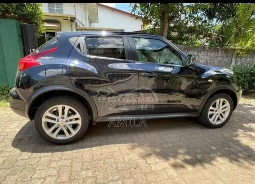 Nissan JUKE 2010 SUV (Used)