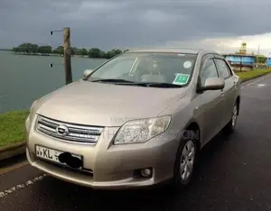 Toyota Corolla Axio 2007 Car (Used)