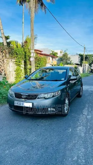 Kia Cerato 2012 Car (Used)