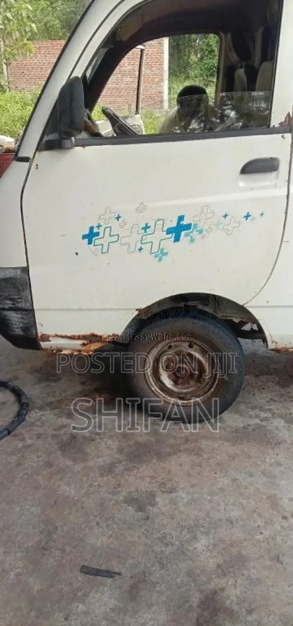Mahindra Maxximo Plus 2013 Lorry (Used)