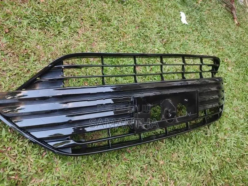 Axio Lower Bumper Grille