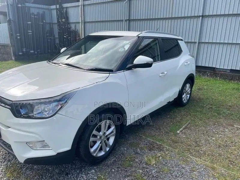 Ssang Yong Tivoli 2017