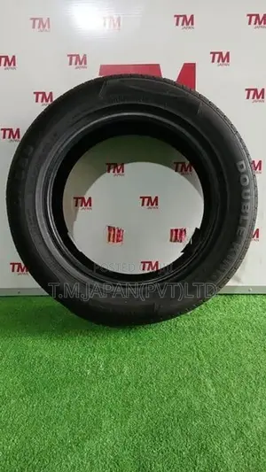 205/55/16 Double King Tyre (Brand New)