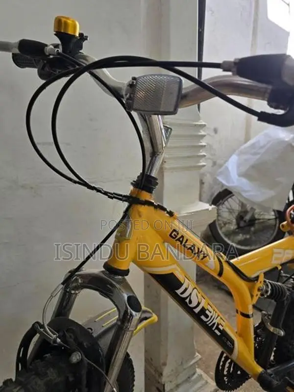 DSI Bicycle