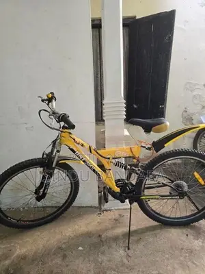 DSI Bicycle