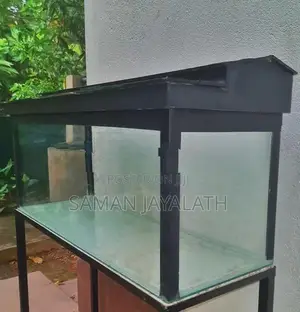 Fish Tank