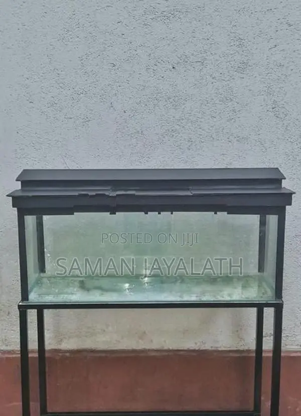 Fish Tank