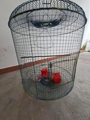 Birds Cage