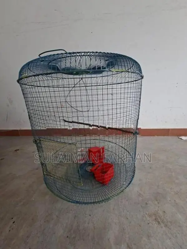 Birds Cage