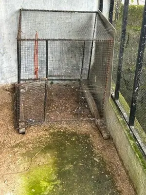 Bird Cage