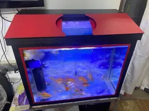 Fish Tank