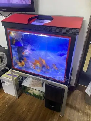 Fish Tank