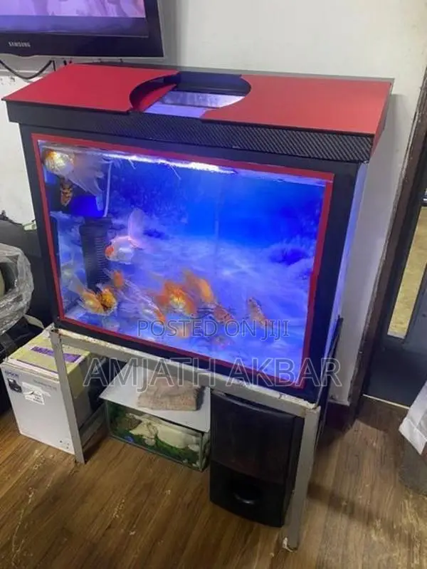 Fish Tank