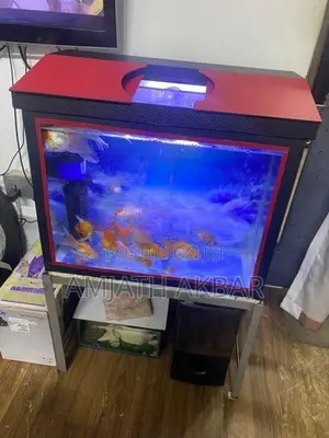 Fish Tank