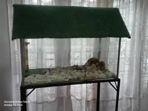 Fish Tank With Stand