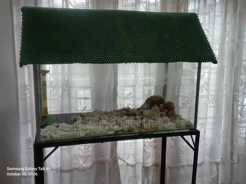 Fish Tank With Stand