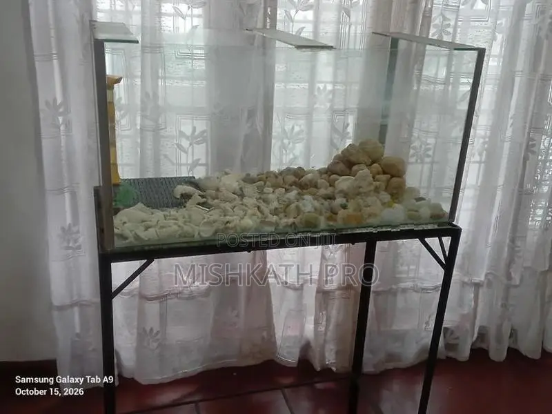 Fish Tank With Stand