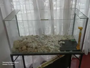 Fish Tank With Stand