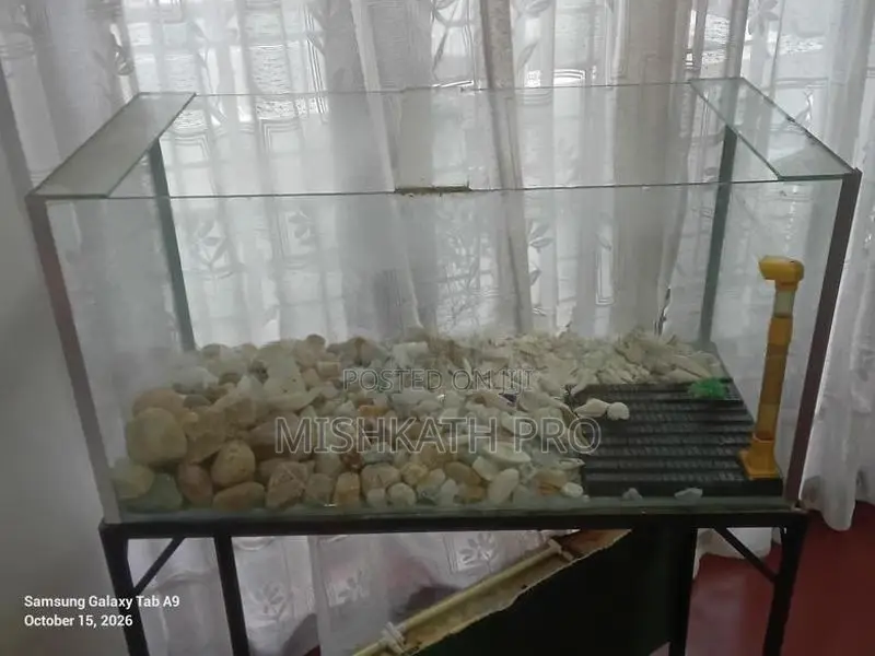 Fish Tank With Stand
