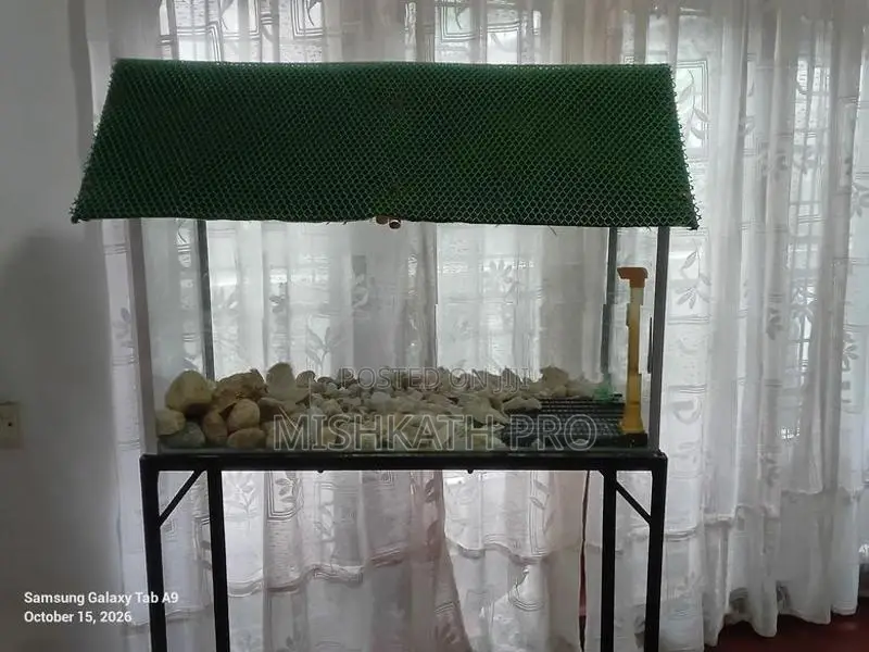 Fish Tank With Stand