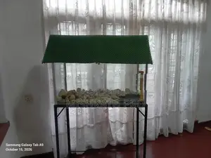 Fish Tank With Stand