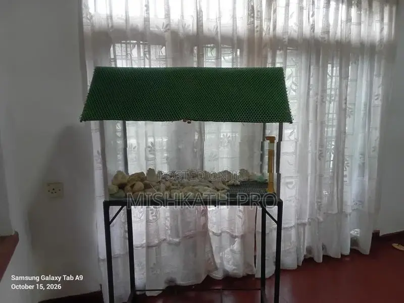 Fish Tank With Stand