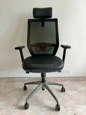 Premium Ergonomic Mesh Chair X701