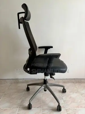 Premium Ergonomic Mesh Chair X701