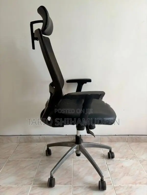 Premium Ergonomic Mesh Chair X701