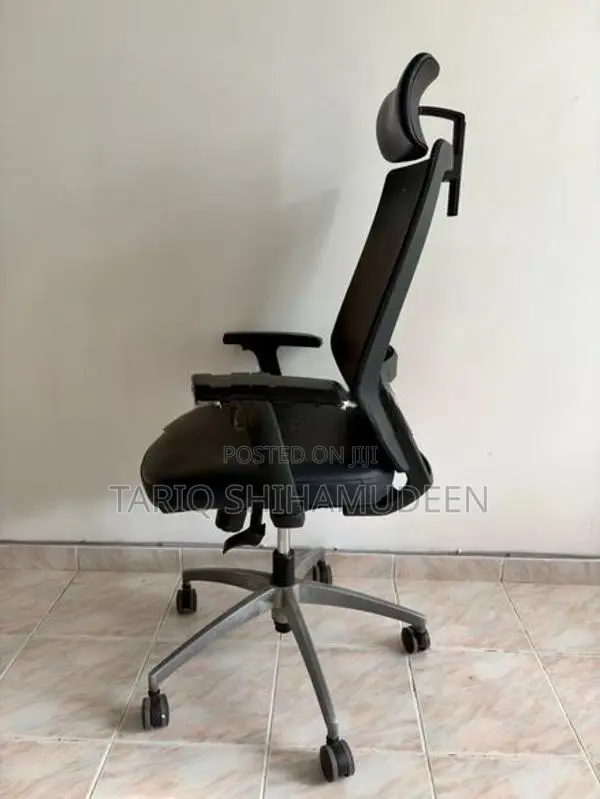 Premium Ergonomic Mesh Chair X701